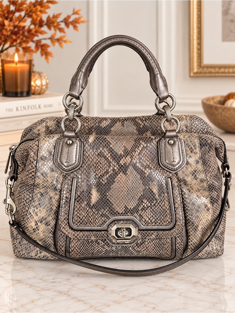 Coach Campbell Python Leather Large Satchel Gray Silver F26041